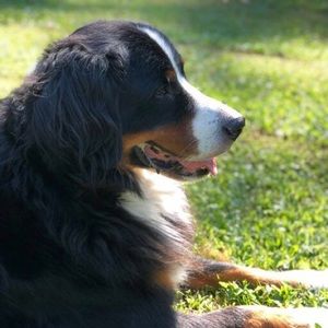 Meet your Posher, Margie